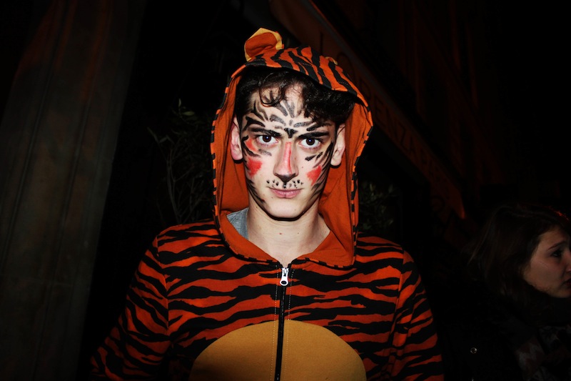 costume tiger